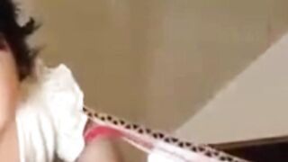 Funny cat video