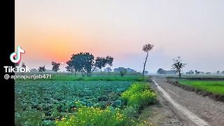 Nice video