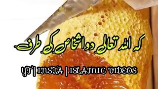 DOSTO NABI PAAK S A W  NY FERMAYA