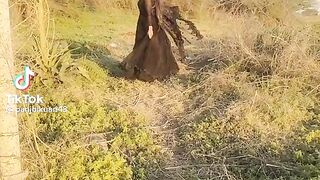 Punjabi  full masti dance