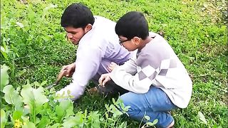 Funny Video
