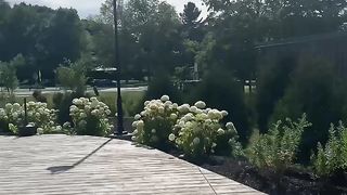 North country (NYC) welcome Center and thousand Islands Bridge Canada