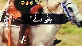 Enjoy  hours