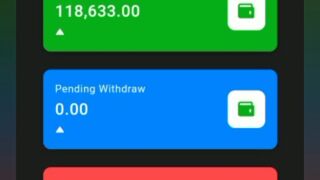 Online Earning #video #febspot