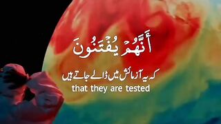 FOR QURAN LOVERS