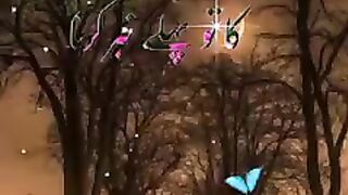 Beautiful Urdu Song and Shayari (imranfunny funny video HD TV)