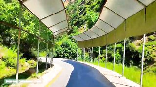 Beautiful scene of nelum velly