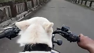 Best view