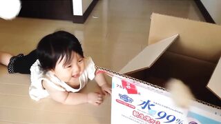Funny cat