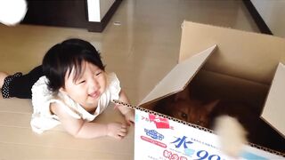 Funny cat and baby