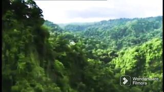 Amazing world