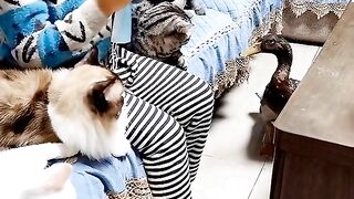 Child is inteligent # best funny video 2023