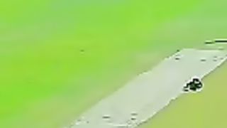 M_nawaz_beautiful_catch