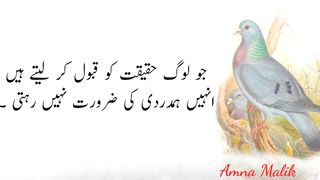 Jo Log Haqeeqat Ko Qabool Kar Laity || Motivational Quotes ????????