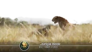 The_Jungle_Book All_Fight_Scenes # animated cartoon 2023