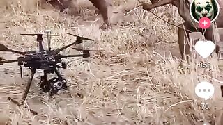 tribes_reaction_drone