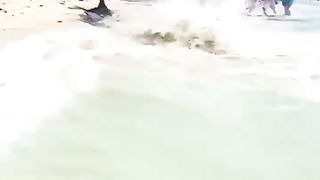Super_fish_playing video