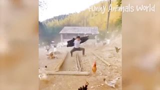 Funniest Dogs And Cats Videos ???? - Best Funny Animal Videos 2023????