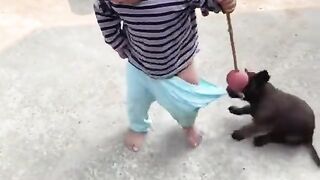 Funny kid and dog
