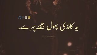 Ye kaghzi photo kasey chehrey