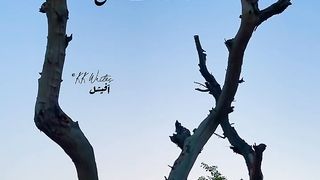 Muhabbat se khali