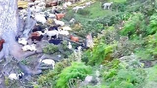 Beauty of swat