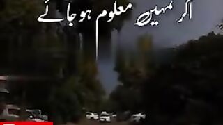 Short_Islamic_Video_Clips___Short_Bayan_Status___Taqwa_%23shorts(480p).