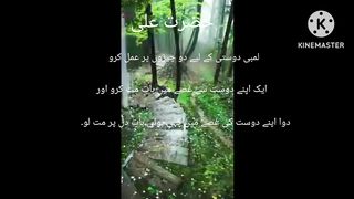 Hazrat Ali quotes