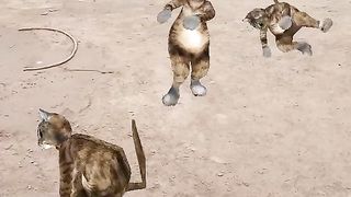 Tom dancing