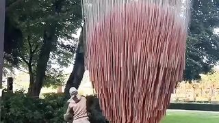 Beautiful  iron rope with the tree in the Gordon
