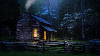 Relaxing in Forest at morning