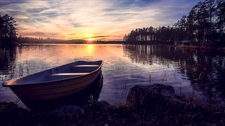 Relaxing in Forest at morning