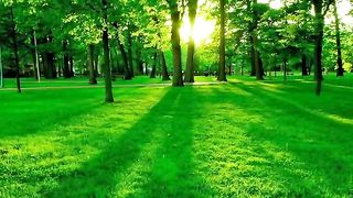 Nature Beauty