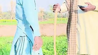 Very funny videos