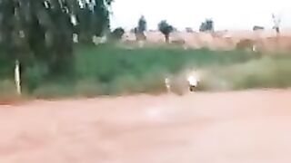 Beautiful funny videos