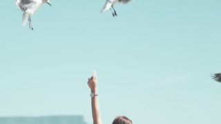 Daring Bird