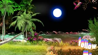 beautiful moon