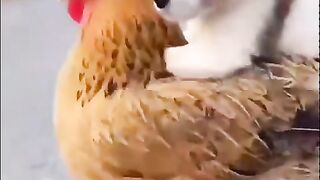 Funny moments 2