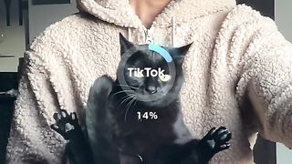 Funny clip