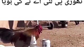 Thodi peete layiye