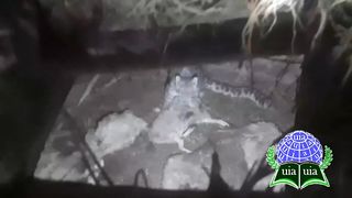 Snow leopard enters a lady from Vark village in Vakhan