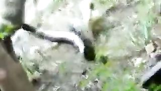Snack Fight