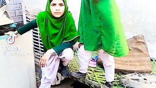 funny video maryam nawaz statement