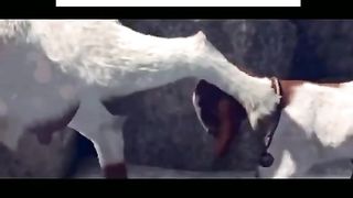funny video دیکھ کر مزہ آجائے
