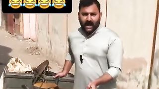 Funny Pmln ticket sale