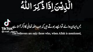 تلاوت قرآن مجید