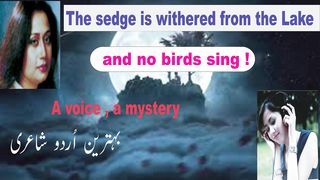 Urdu poetry