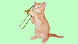 Funny Animal pets