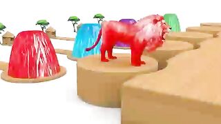 Funny ???????? video