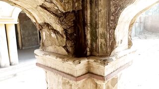 Tree in building